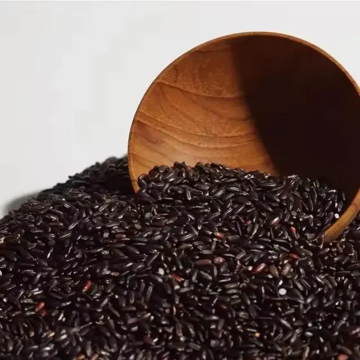 Essence de riz noir probiotique