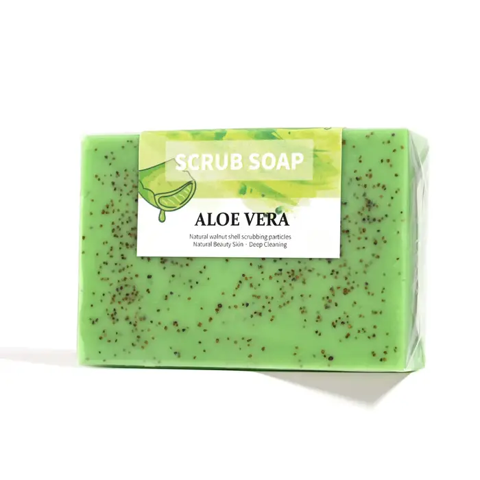 Extrait de plante d'aloe vera biologique naturel M+100G