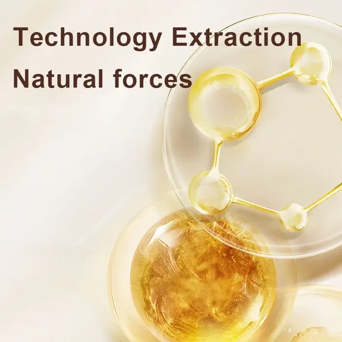 Zhang Guang 101 Tonique Régénérant à Base de Plantes Chinoises 350ml Fortifiant la Repousse des Chev