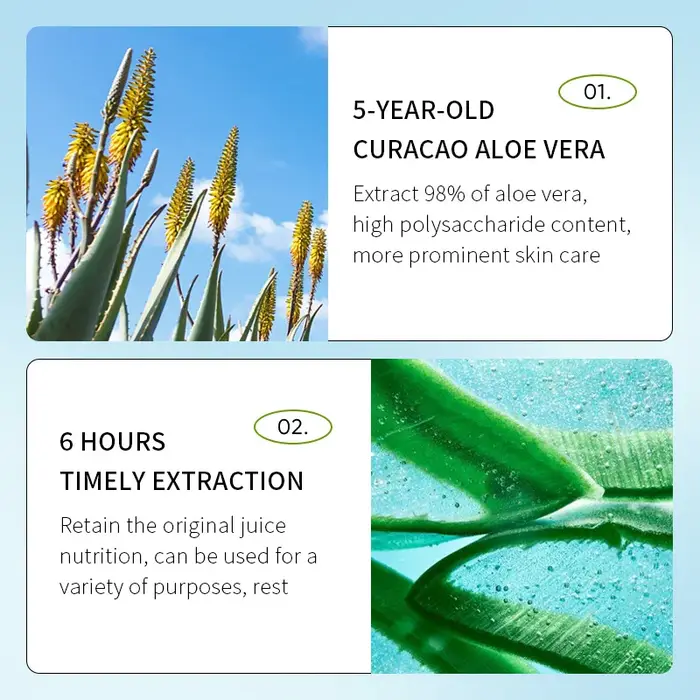 SADOER Gel Nettoyant Exfoliant Visage à l'Aloe Vera – Nettoyage Profond