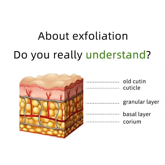 Gel exfoliant aux herbes pour un nettoyage en profondeur de la peau