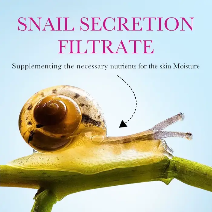 SADOER escargot collagène crème pour le visage Gel raffermissant réparation éclaircissant hydratant crèmes