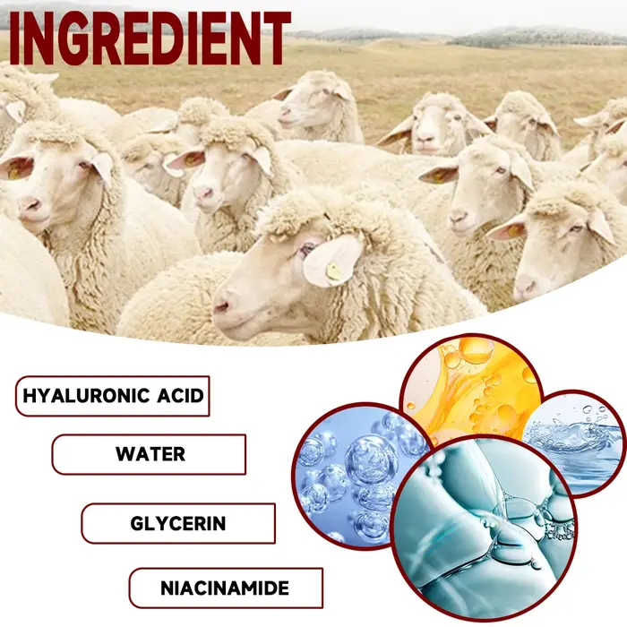 Crème de lanoline 100% pure pour peaux sèches et démangeaisons
