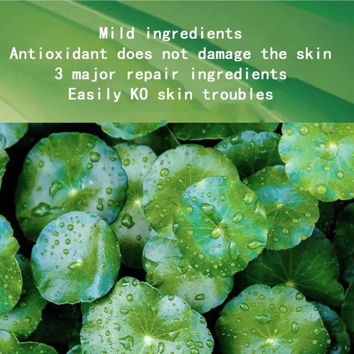 Centella – masques faciaux au collagène pour dormir